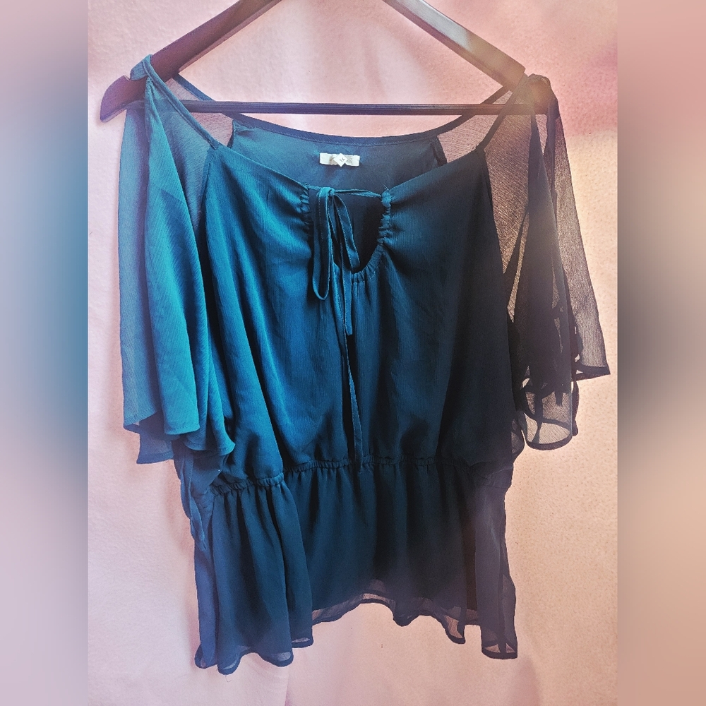 Sheer Navy Blue Blouse - Picture 2 of 5